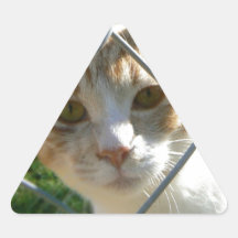 Sherbert de la esperanza pasada pegatinas triangulo