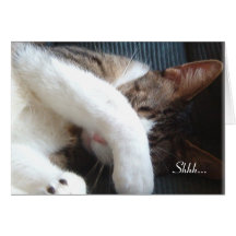 Shhh… Es una tarjeta del gato del fiesta de sorpre