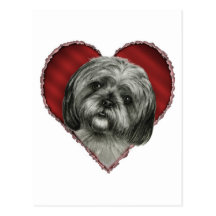 Shih Tzu con el corazón Postales