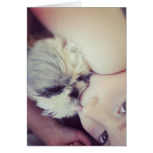 Shihtzu y niño tarjetas