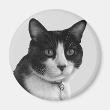 Shirley, gato del smoking imanes de nevera