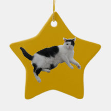 Shorthair Ornaments Para Arbol De Navidad