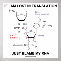 Si me pierden en culpa de la traducción apenas mi  impresiones