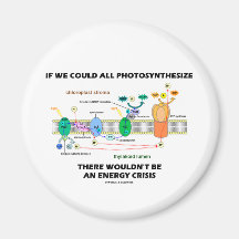 Si podríamos toda la Photosynthesize no sería ener Imán De Nevera