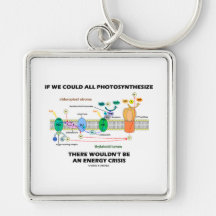 Si podríamos toda la Photosynthesize no sería ener Llaveros Personalizados