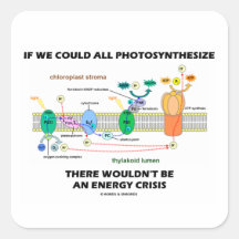 Si podríamos toda la Photosynthesize no sería ener Calcomanía Cuadradas Personalizadas