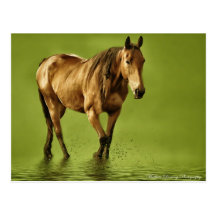 Si solamente deseos donde caballos postal