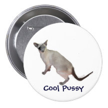 Siamés es el gatito fresco, fresco pins