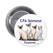 Siamés para siempre pins