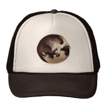 Siamés tranquilo gorras