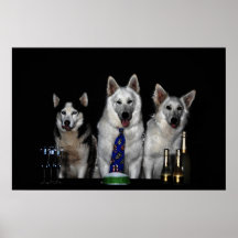 Sibirian Husky and Sepherd whites Impresiones