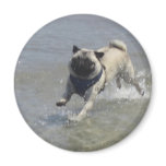 Sid el barro amasado en la playa imanes
