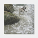 Sid muy en la playa iman de frigorífico