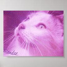 siegue posters
