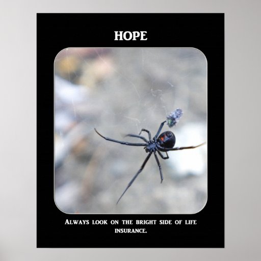 siempre-mirada-en--brillante-lado-de-vida-seguro poster