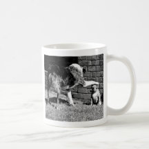 Siente - - la estancia - - - taza