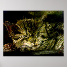 Siesta del gato posters