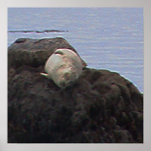 Siesta del sello de California Posters