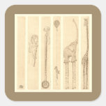 Siga a los pegatinas del líder