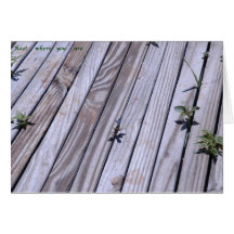 sigh_boardwalk_root_D2454 Tarjeta
