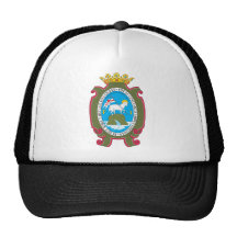 Siglo XVIII del escudo de armas de San Juan Gorro