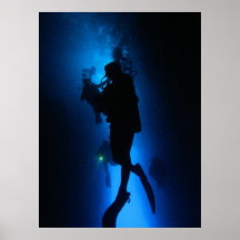 Silloyette Posters