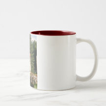 silo tazas