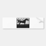 Silueta árabe del caballo blanco y negro pegatina de parachoque
