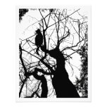 SILUETA B&W DEL ÁRBOL DEL GATITO COMUNICADOS PERSONALIZADOS