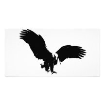 Silueta de Eagle calvo Tarjeta Fotografica