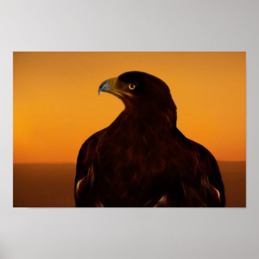 Silueta de Eagle en la puesta del sol Poster