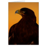 Silueta de Eagle en la puesta del sol Felicitaciones