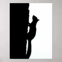 Silueta de la ardilla posters