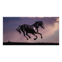 Silueta de la danza de los caballos en la puesta d tarjetas fotográficas personalizadas
