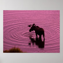 Silueta de los alces impresiones