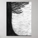 Silueta del árbol impresiones