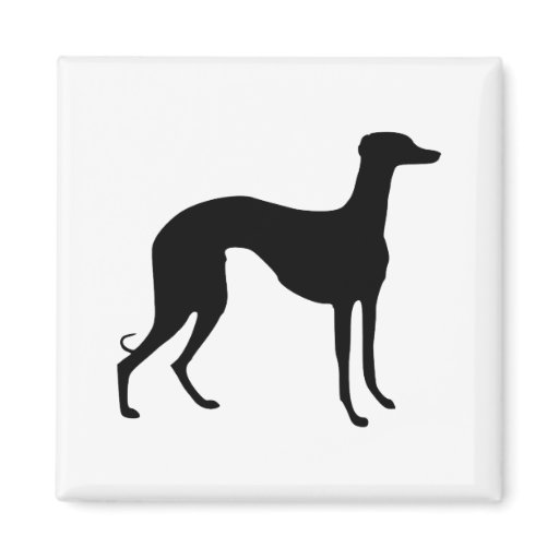 Silueta del galgo iman de frigorífico | Zazzle