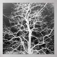 Silueta del invierno poster