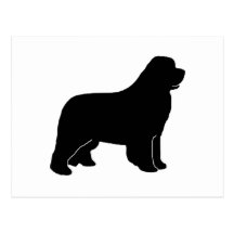 Silueta del perro de Terranova Tarjeta Postal