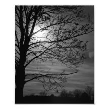 Silueta Fotografias
