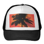 Siluetas de la puesta del sol de las palmeras gorra