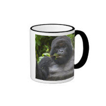Silverback del gorila y del envejecimiento de mont tazas de café