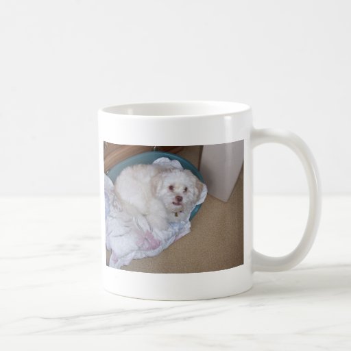 Simba Taza De Café