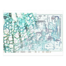 simbiosis - concepto postal