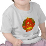 Símbolo oficial de la heráldica de Kazajistán del  Camisetas