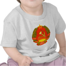 Símbolo oficial de la heráldica de Kazajistán del  Camisetas