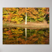 Simetría del otoño posters