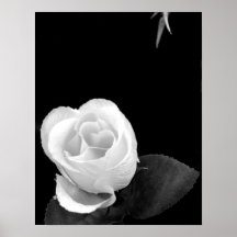 Simplicidad Posters
