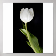 Simplicidad Posters