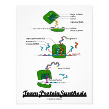 Síntesis de la proteína del equipo (biología) invitaciones personalizada